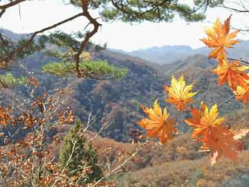 温岭流产后吃打胎药吗（人流后吃打胎药）